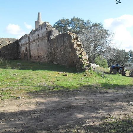 Monte Do Brejinho De Agua Βίλα Carvalhal  Εξωτερικό φωτογραφία